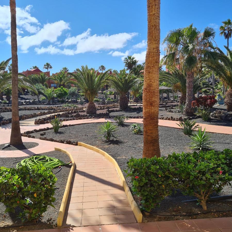 Oasis Royal F217 Appartement Corralejo Buitenkant foto